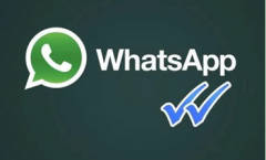 whatsapp营销软件