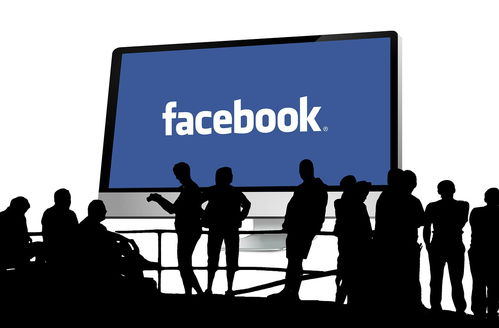 独立站运营和facebook投放有什么区别?